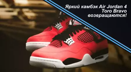 Air Jordan 4 Toro Bravo